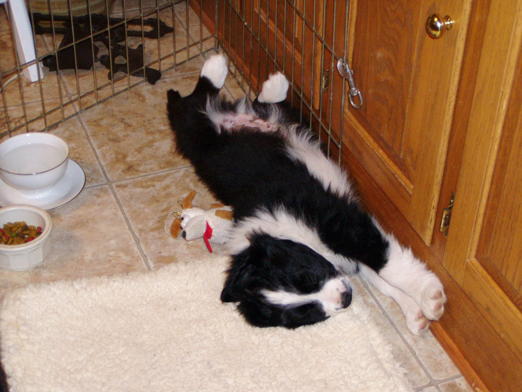Nap time!.JPG
